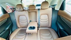 بۆرگوارد BX5